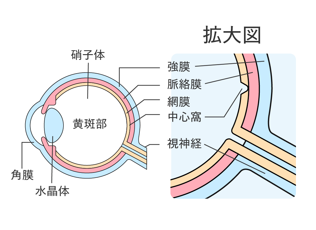 眼科症例カンファランス 1 小児の近視進行抑制治療 | 目の病気と治療 | あかつか眼科